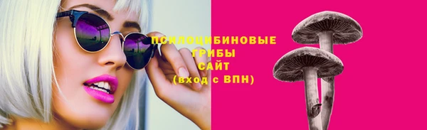 герыч Алексин