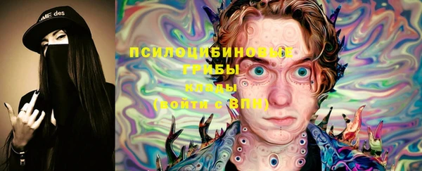 герыч Алексин
