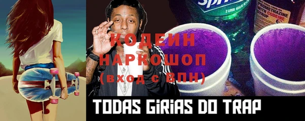 молекула духа Алзамай