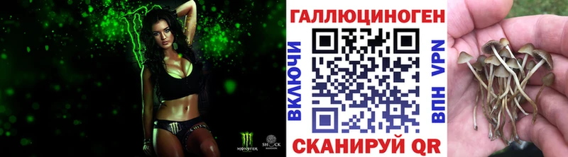 наркотики  Ахтырский  Галлюциногенные грибы Psilocybe 